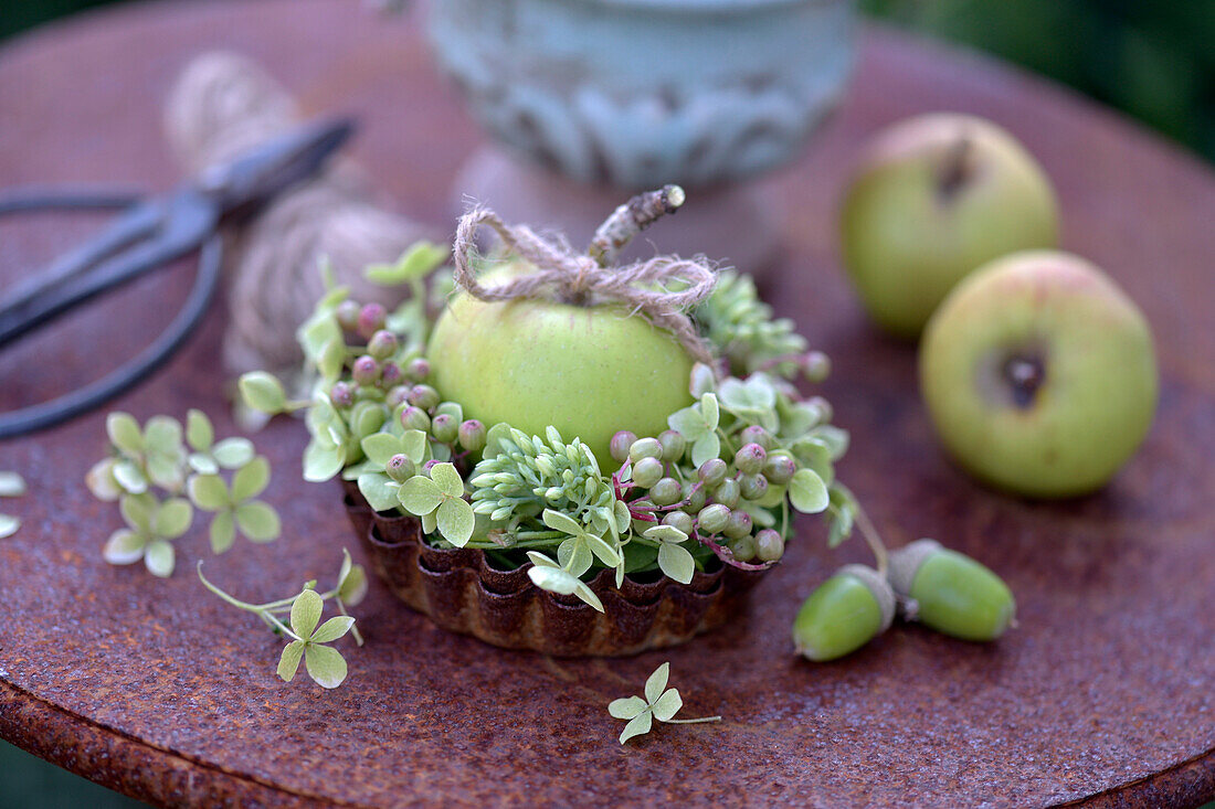 Dekoration aus Hortensienblüten (Hydrangea), Sedum, Apfel  und Eicheln in einem Backförmchen