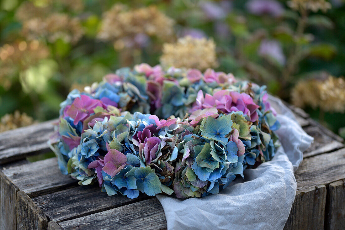 Bunter Hortensienkranz (Hydrangea) auf rustikaler Holzkiste im Garten