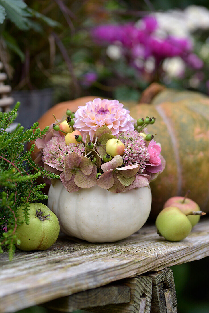 Autumn arrangement with ornamental pumpkin vase, hydrangea blossoms, dahlias, ornamental apples and apples on wooden table