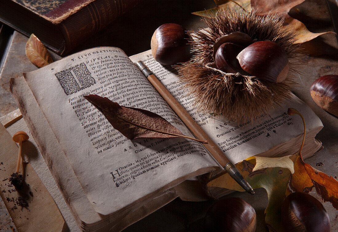 Still life with chestnuts, autumn leaves and antique books