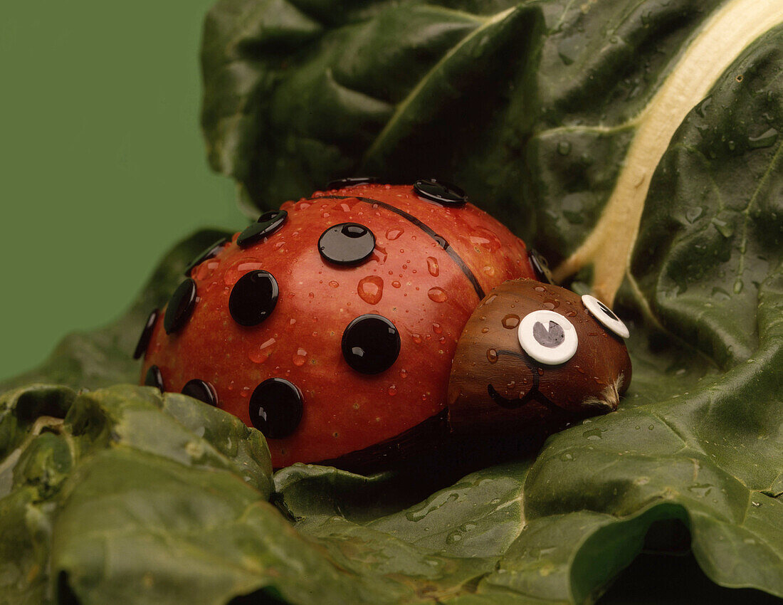 Ladybird made from apple and chestnut on a chard leaf
