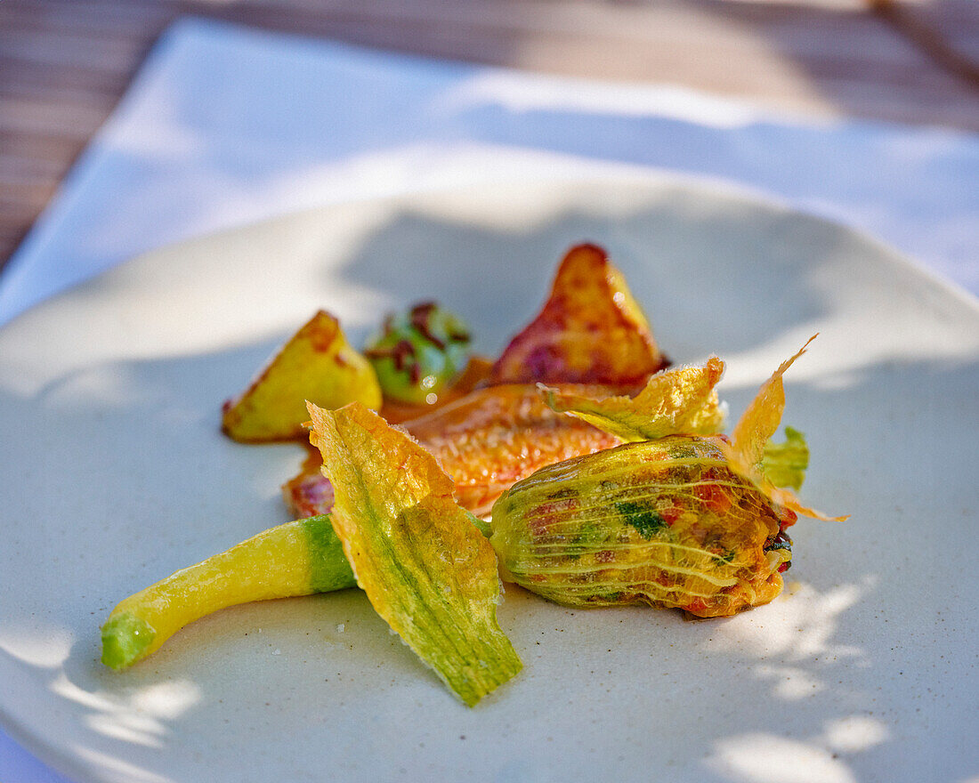 Gebratenes Rotbarbenfilet mit gefüllten Zucchiniblüten und Ratatouille-Jus