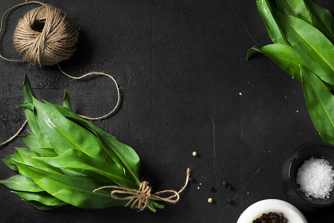 Fresh wild garlic with salt and pepper on a dark background