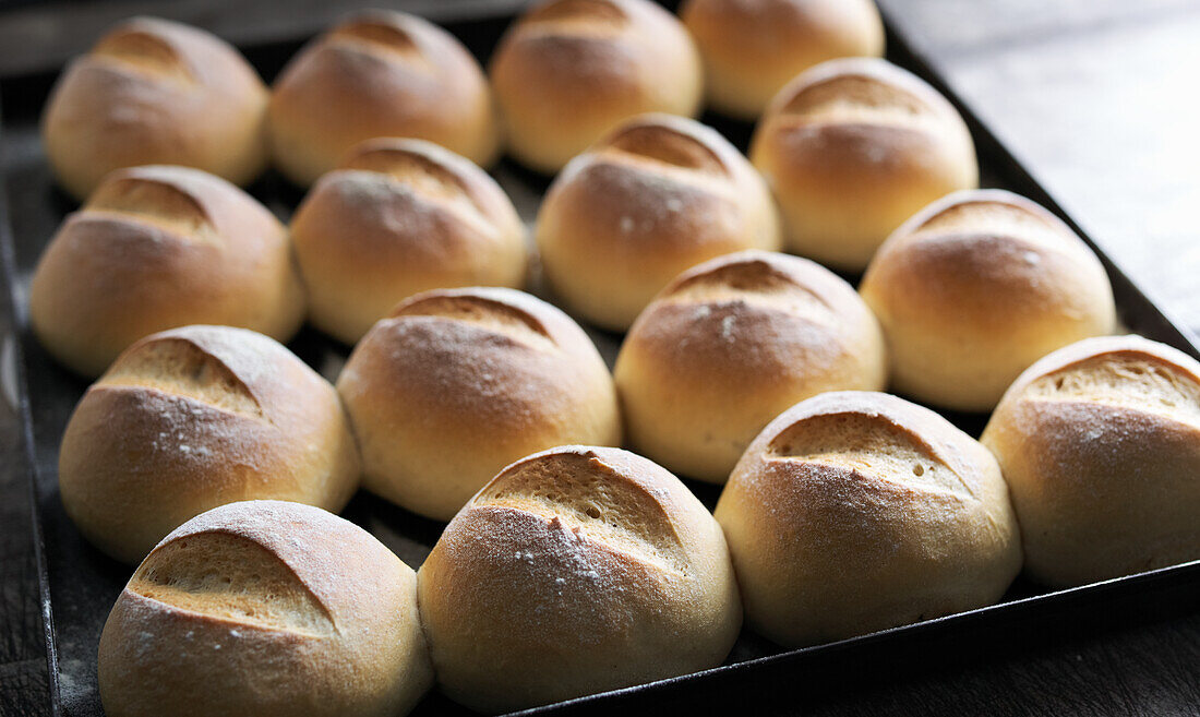 Frisch gebackene Weizenbrötchen