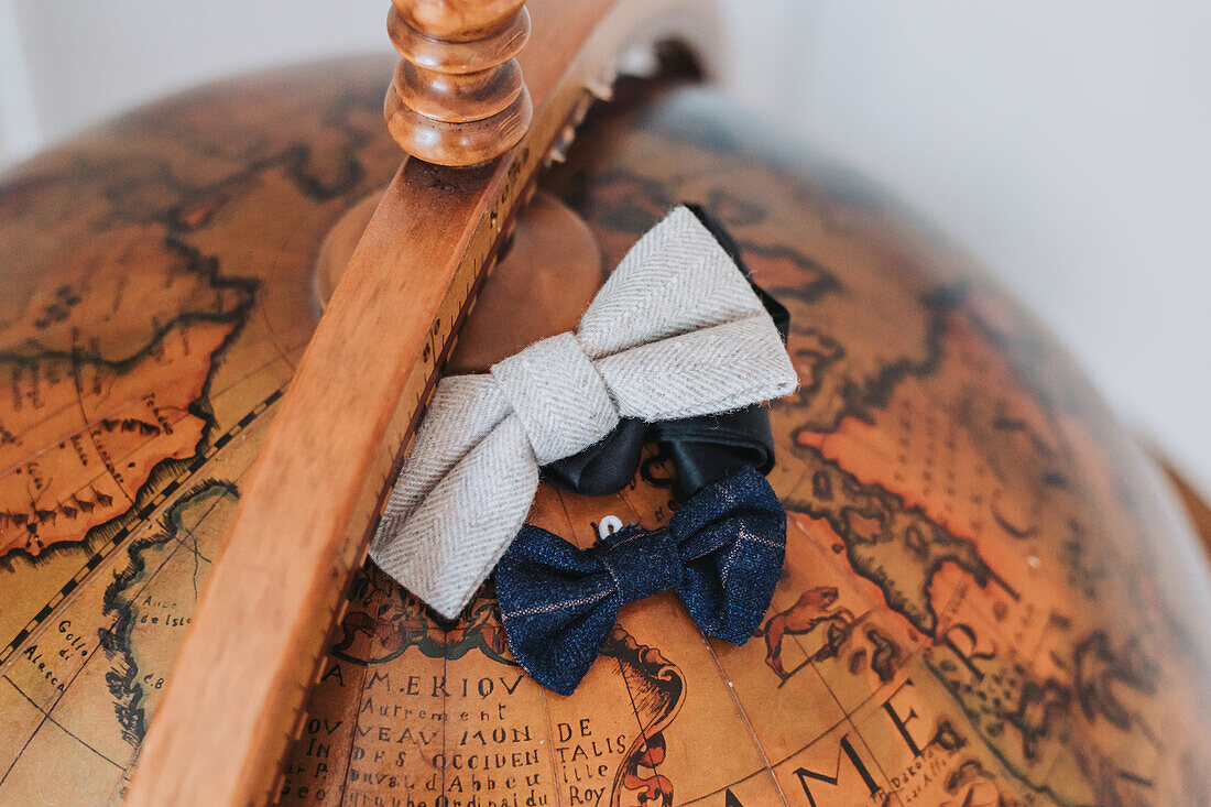 Flies in gray and blue on a globe as decoration