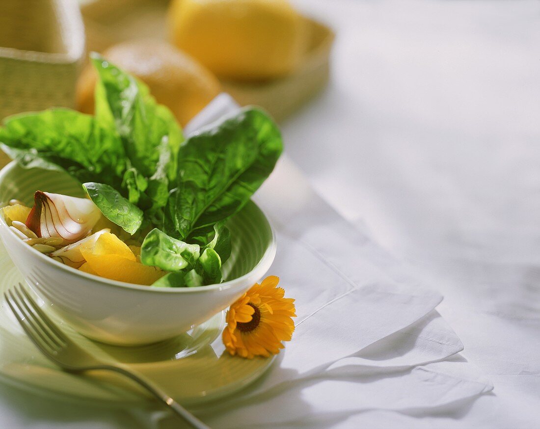 Spinach salad with oranges & red onions in bowl