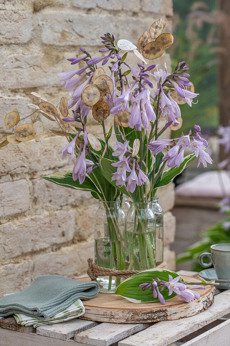 Funkia (Hosta) 'El Nino' in vases