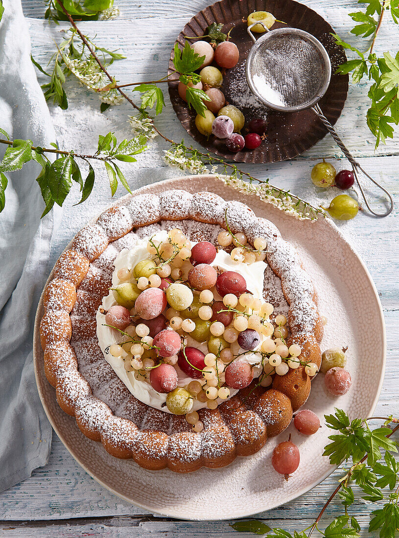 Biskuitkuchen mit Johannisbeeren und Stachelbeeren