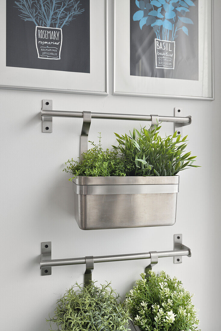 Wall-mounted herb garden in kitchen with herb posters