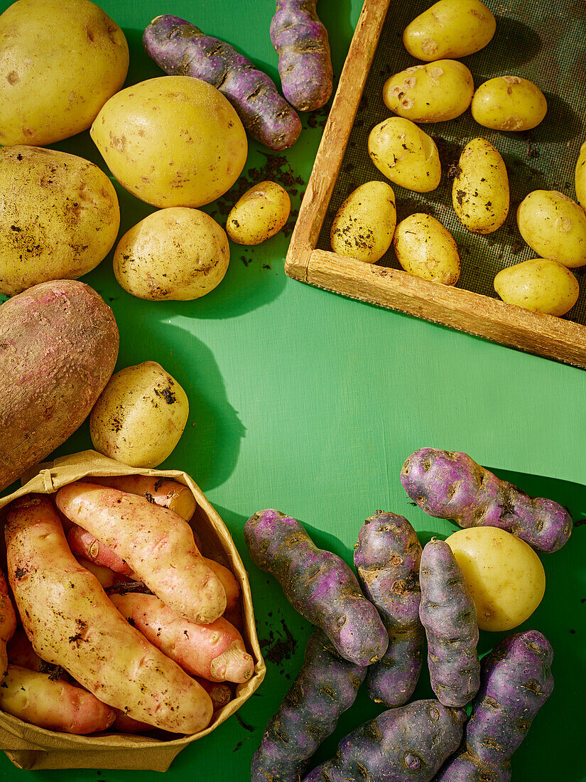 Different types of potatoes on a green base
