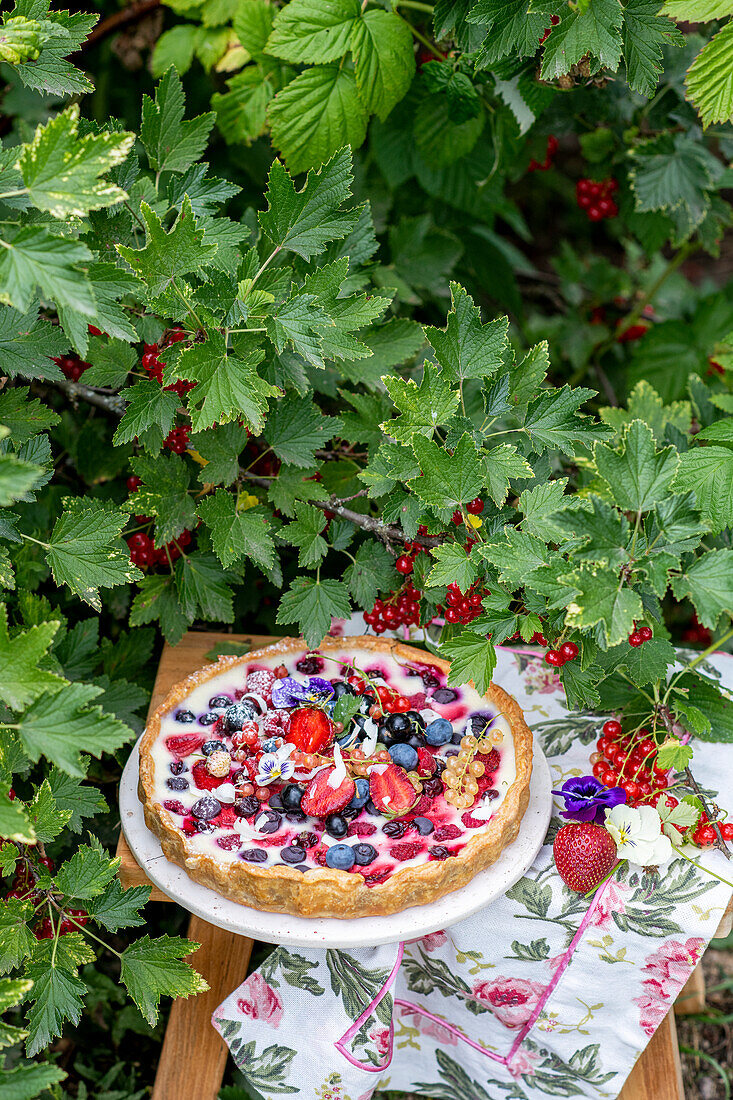 Beeren-Creme-Kuchen