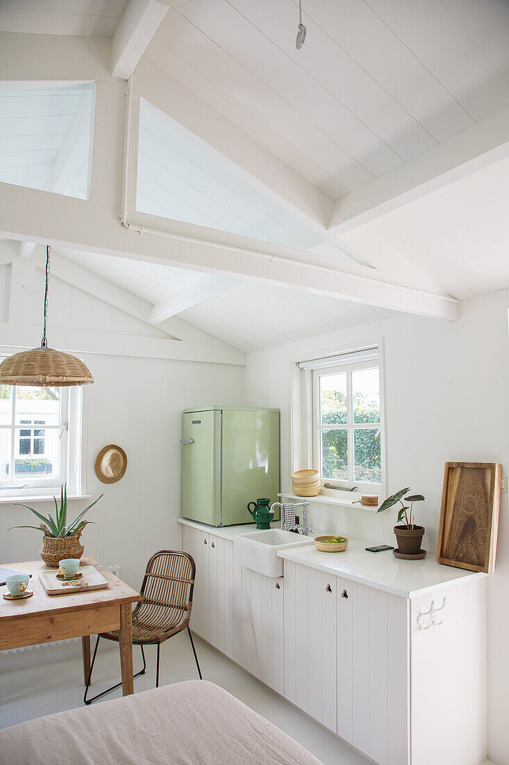 Bright country-style kitchen with green plants and vintage fridge