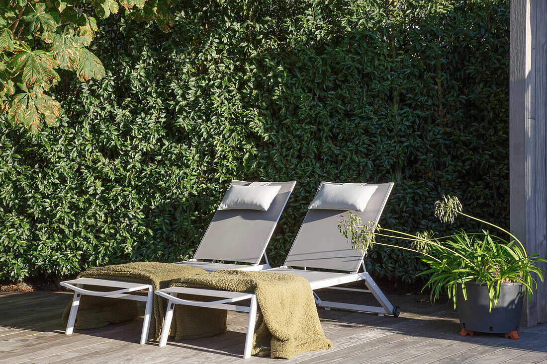 Zwei Sonnenliegen mit grünen Decken auf Holzterrasse vor grüner Hecke