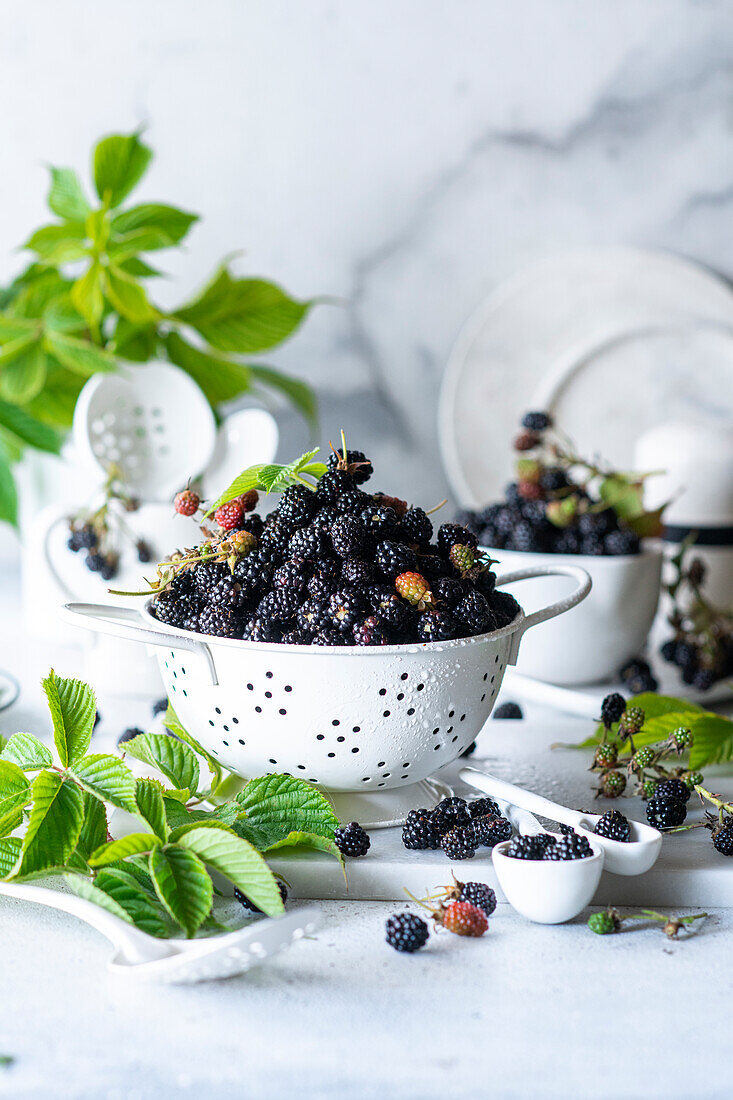 Frische Brombeeren im Sieb