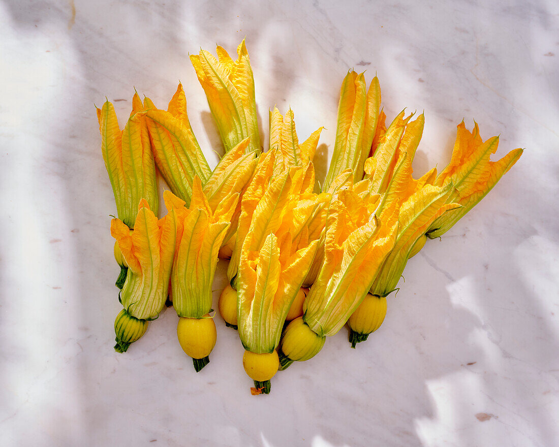 Courgette flowers