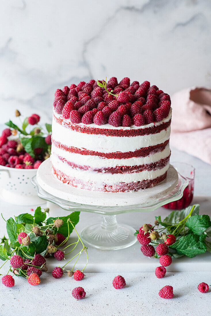 Red velvet cake with raspberry jelly and fresh raspberries