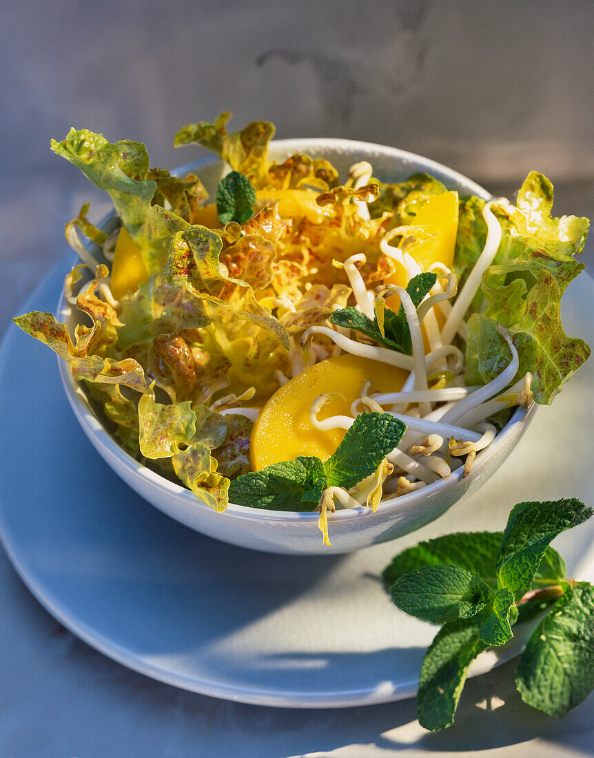 Oak leaf salad with mango, bean sprouts and mint