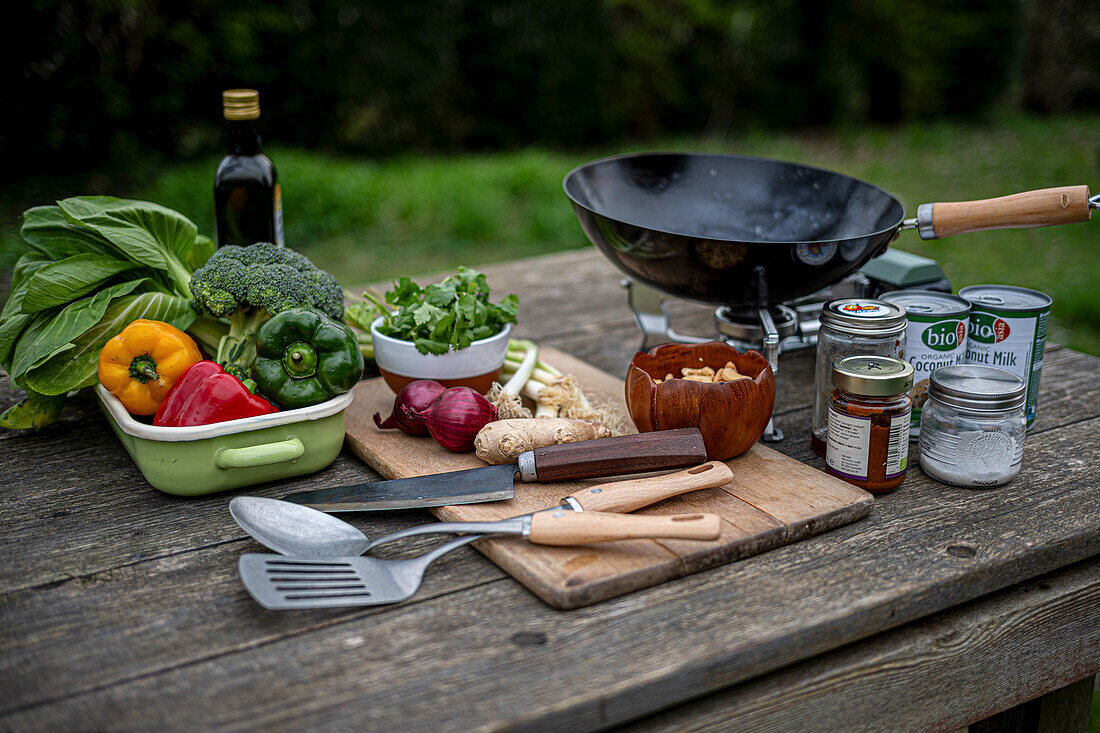 Ingredients for Thai vegetable curry