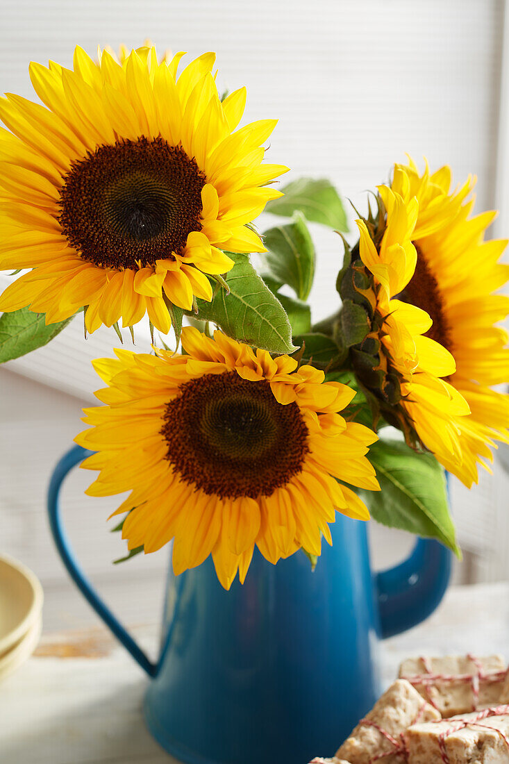 Sunflowers in a vase