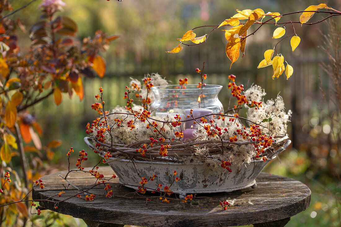 Autumn wreath with tendrils of bittersweet (Celastrus orbiculatus) and fruit clusters of clematis, with lantern