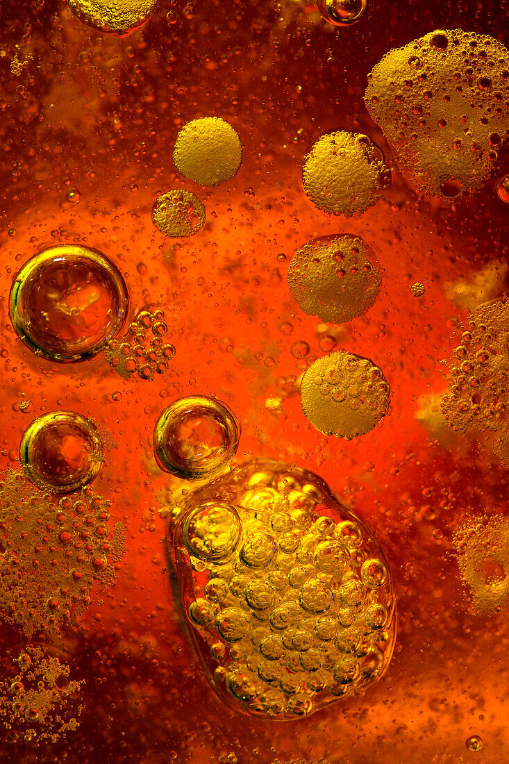 Soap bubbles in a beaker, light micrograph