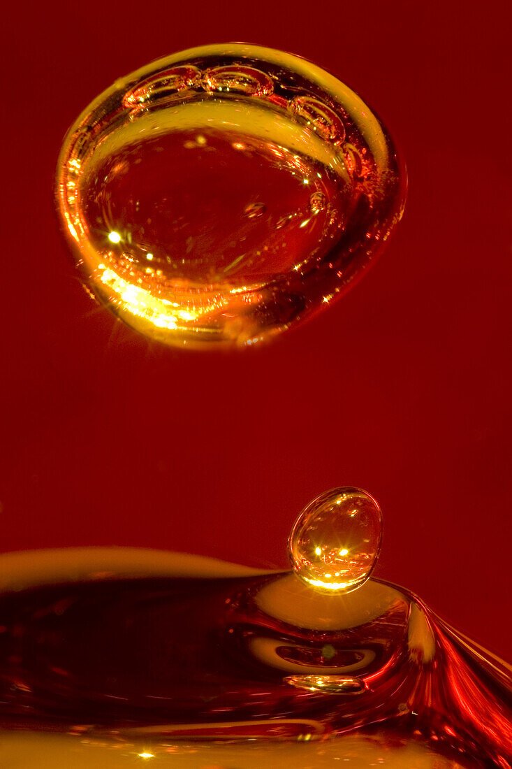 Air bubbles in candle gel, light micrograph