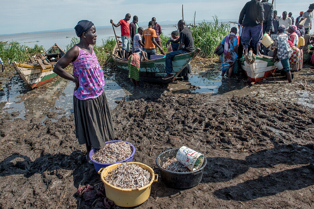 Woman selling freshly caught fish, Kenya