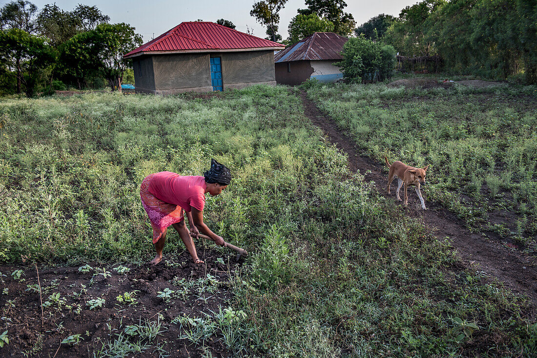 Woman weeding her garden, Kenya