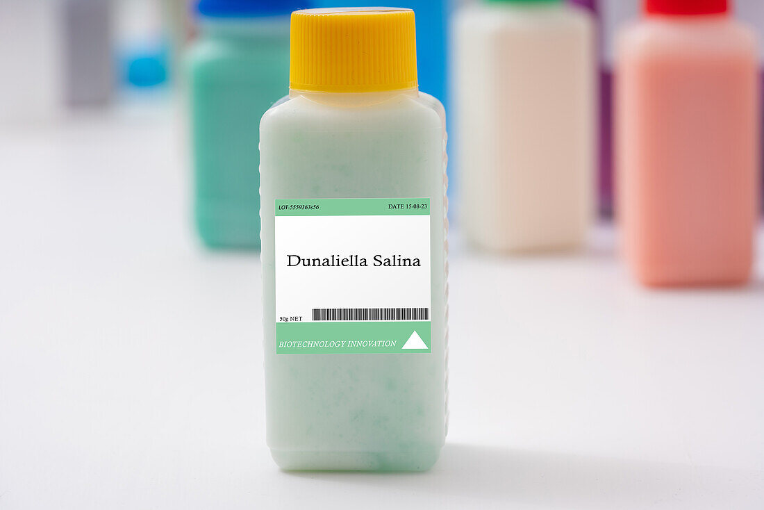 Dunaliella salina microalgae, conceptual image