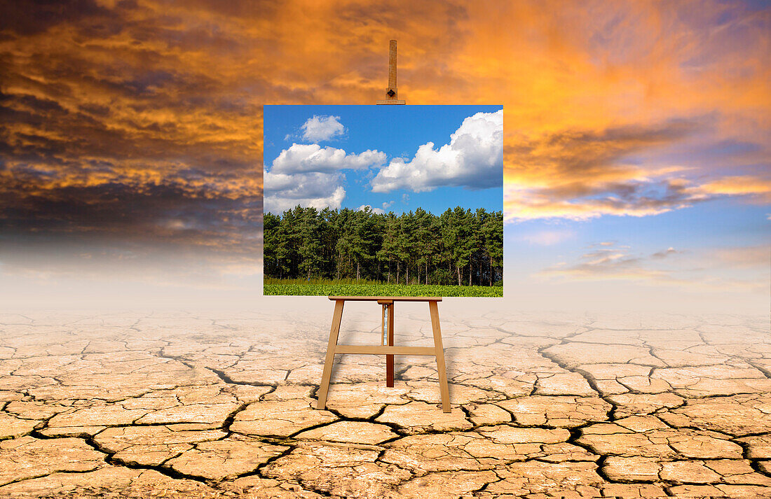 Climate change, conceptual composite image