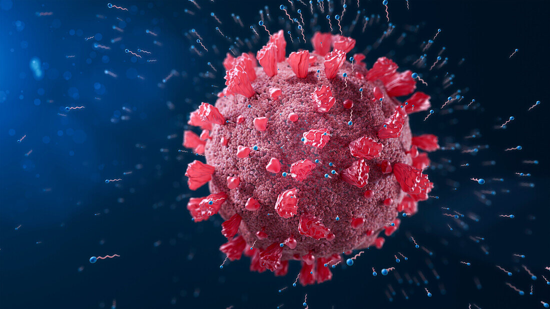Coronavirus surrounded by soap molecules, illustration