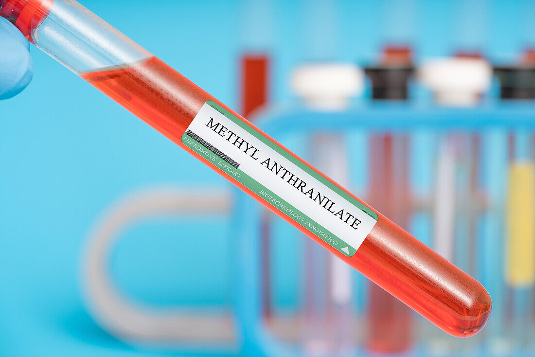 Methyl anthranilate pheromone, conceptual image