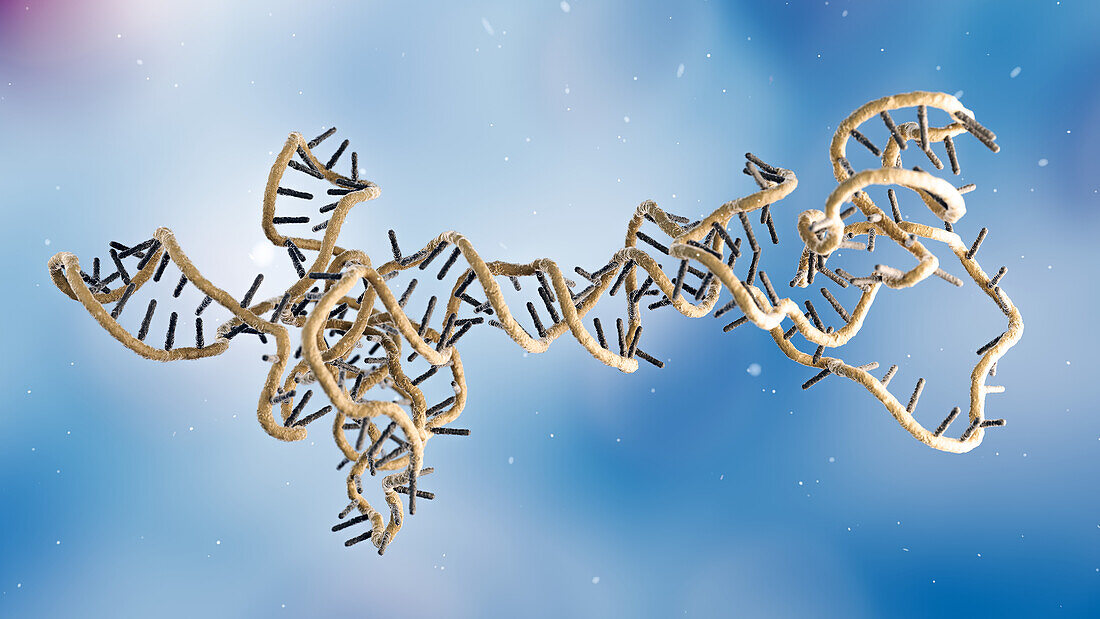 RNA obelisk, illustration