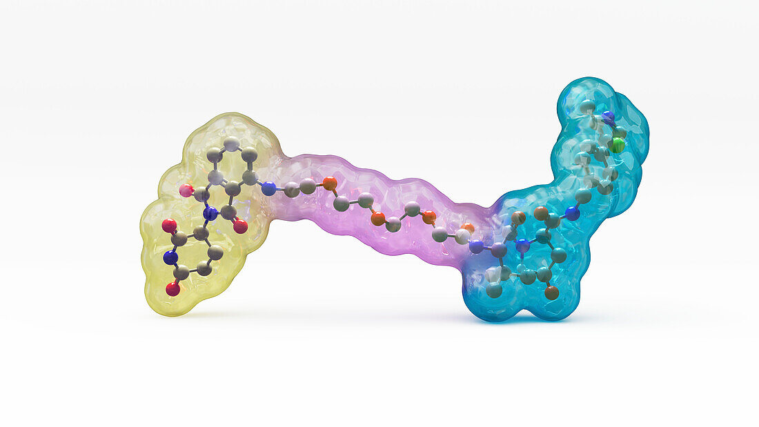 Targeted protein degrader structure, illustration