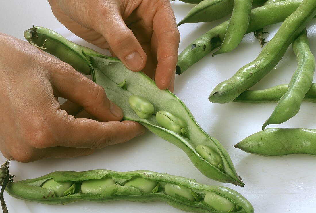 Shelling beans