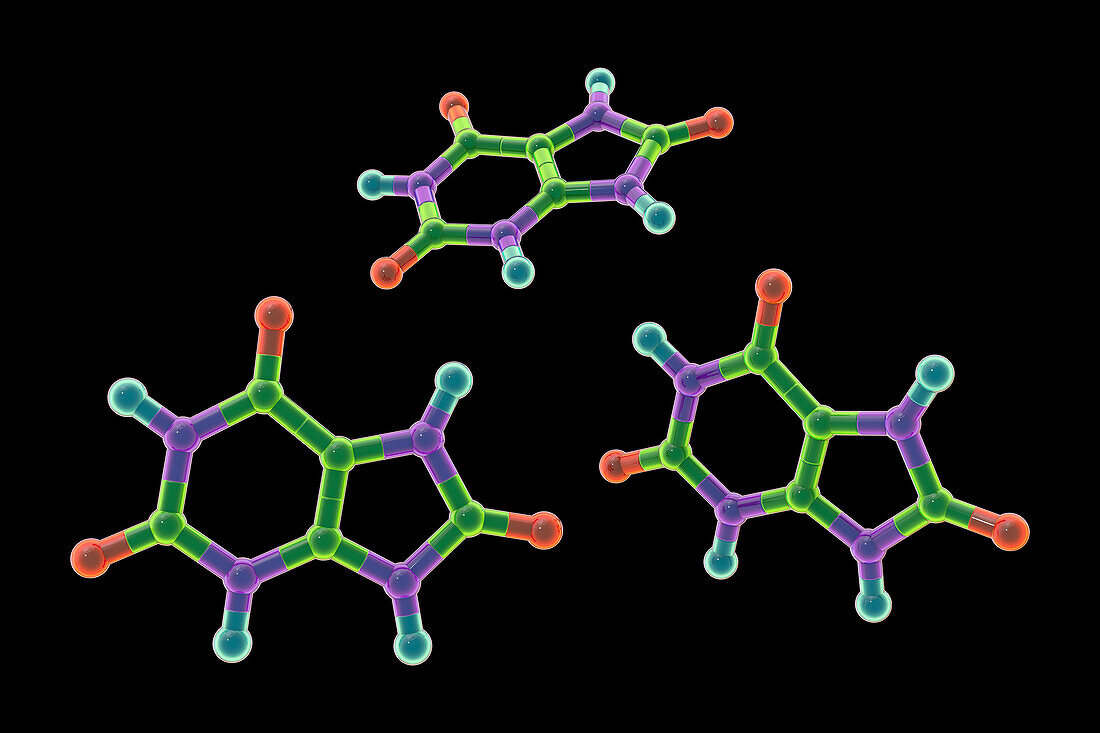 Uric acid molecule, illustration