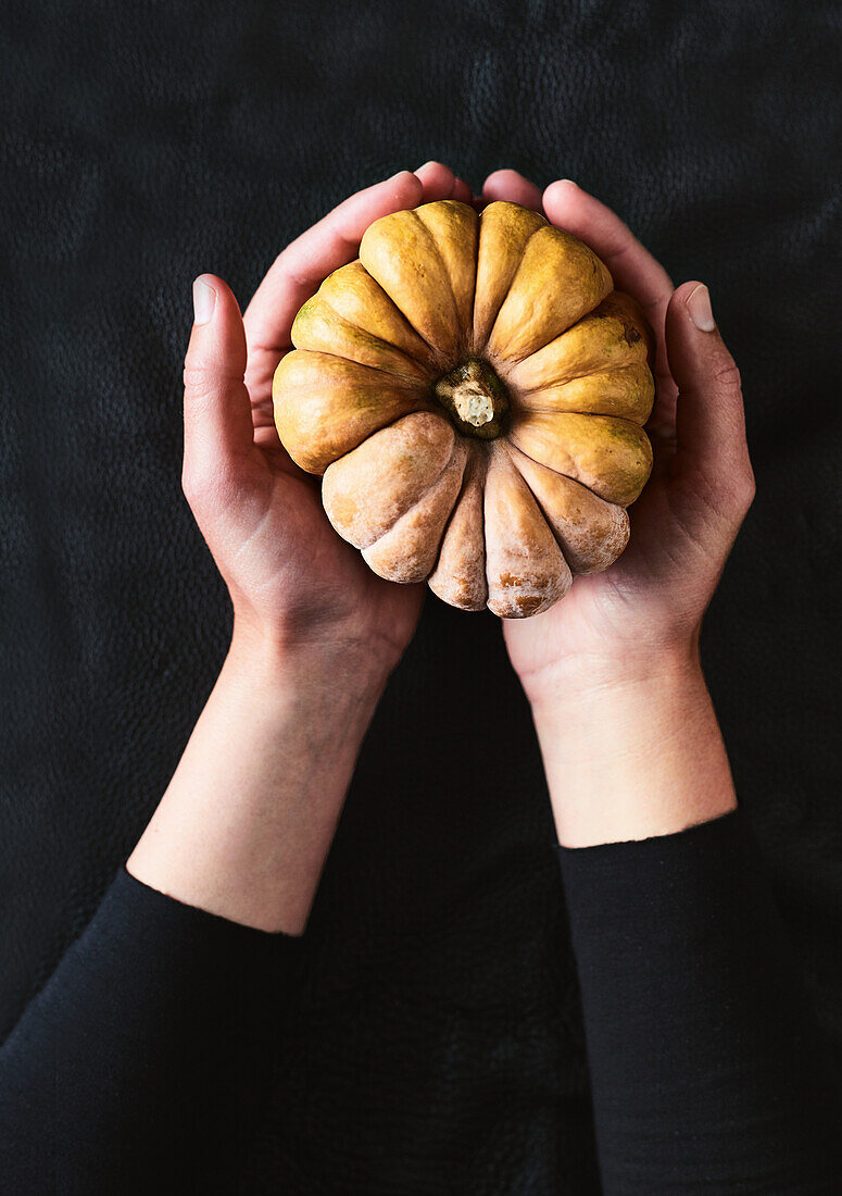 Hands holding a pumpkin