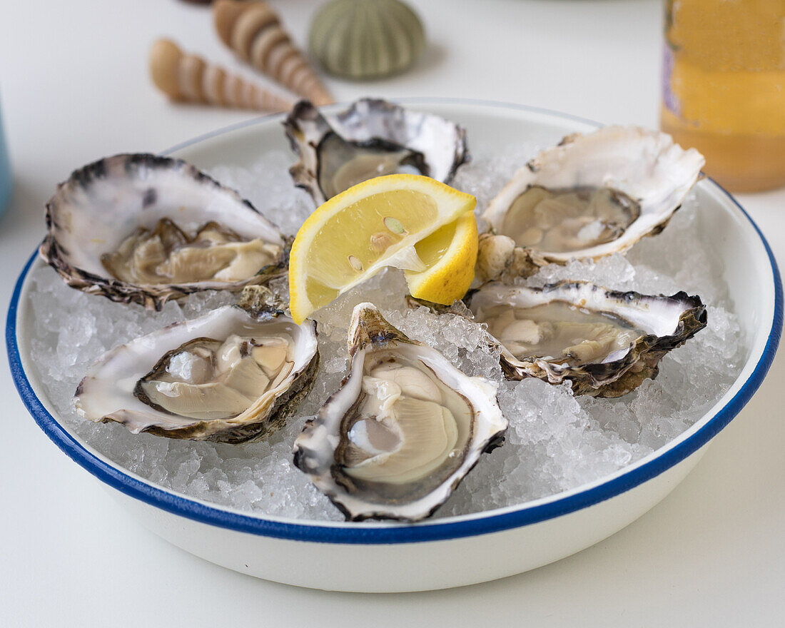 Fresh oysters on ice with lemon