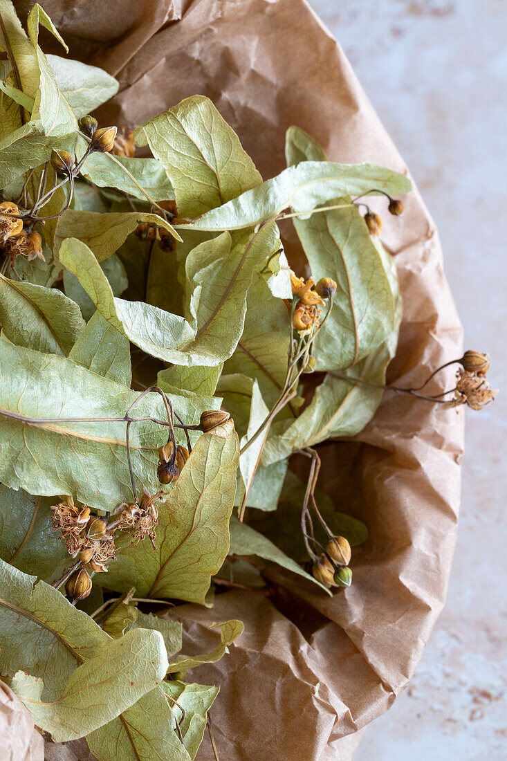 Getrocknete Lindenblätter zur Teezubereitung