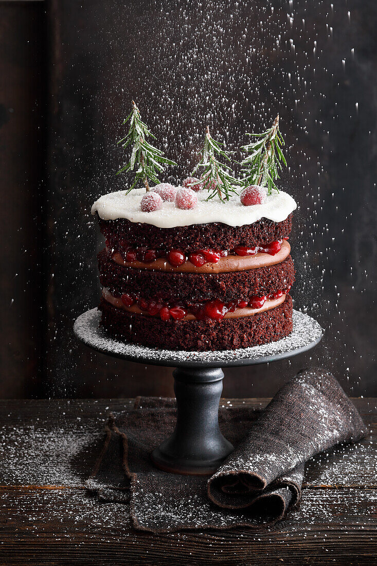 Chocolate naked cake with cranberry-rosemary compote