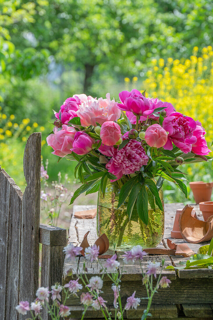 Bouquet of peonies (Paeonia) on garden table