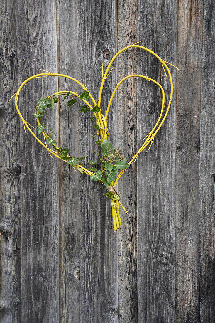 Heart-shaped decoration made of yellow branches and ivy on a wooden wall