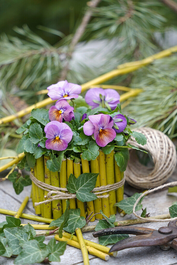 Stiefmütterchen (Viola Wittrockiana) in DIY-Töpfen aus geschnittenen Zweigen mit Bastband auf Holztisch im Garten