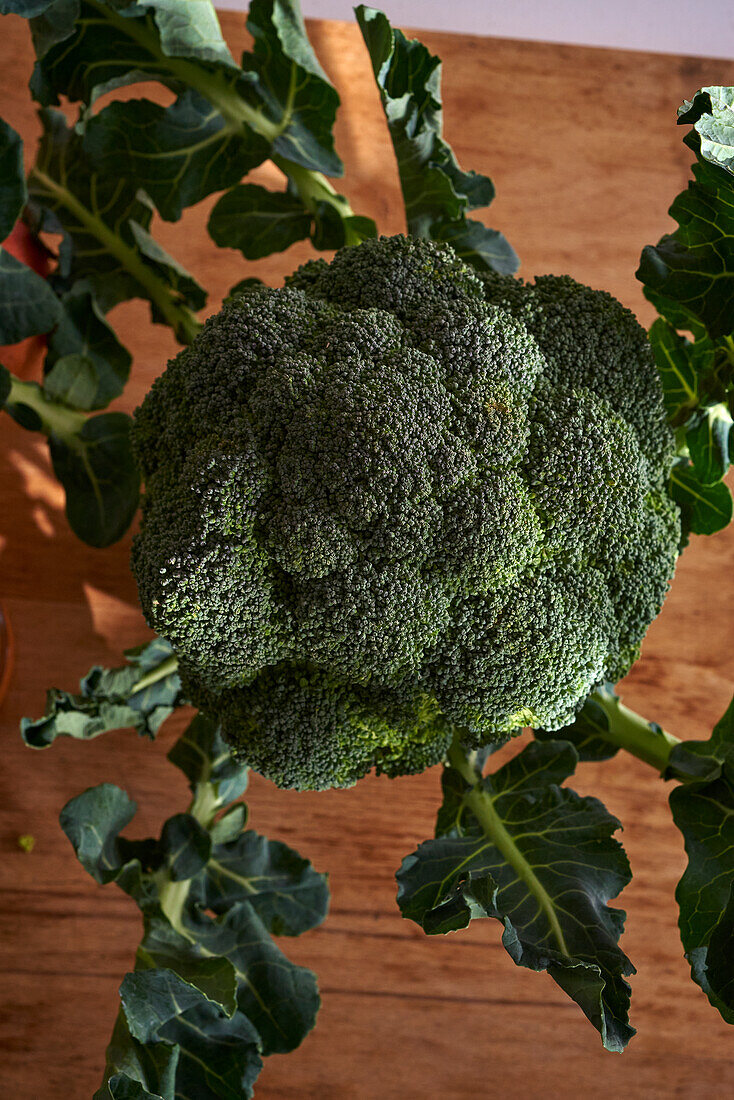 Fresh broccoli with leaves