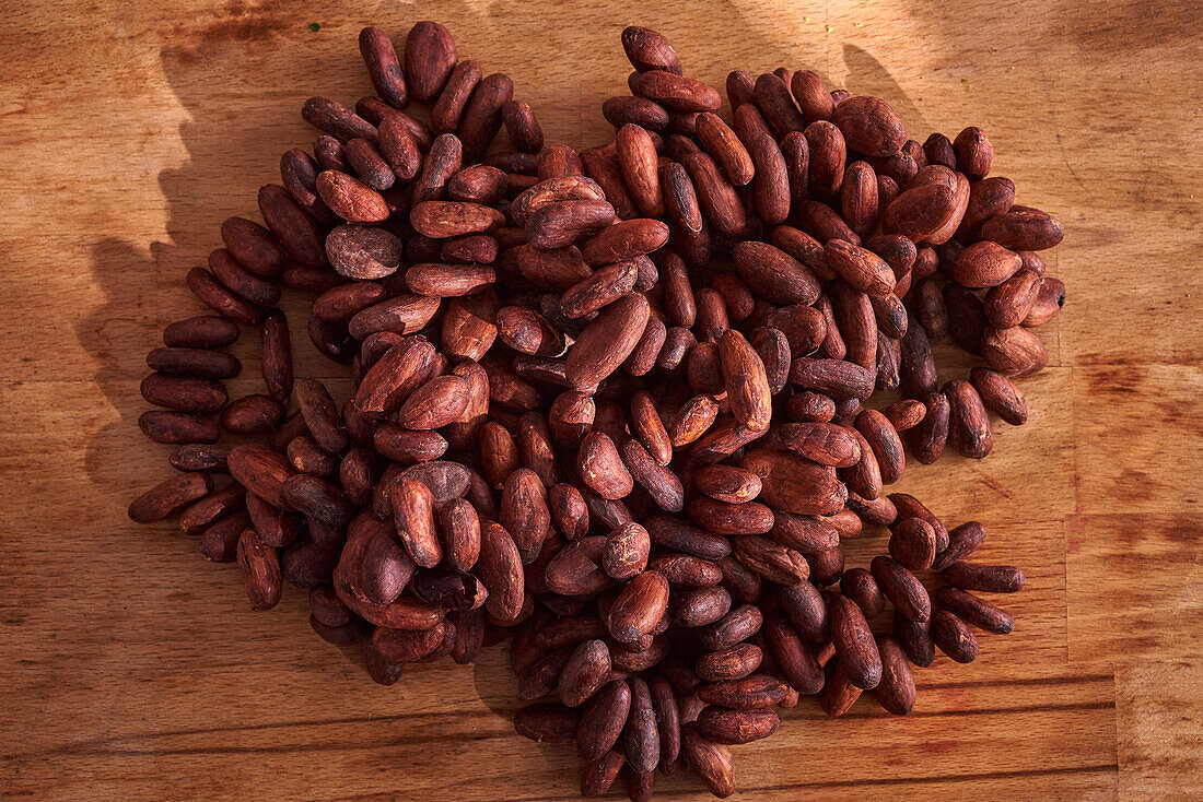Raw cocoa beans on a wooden base