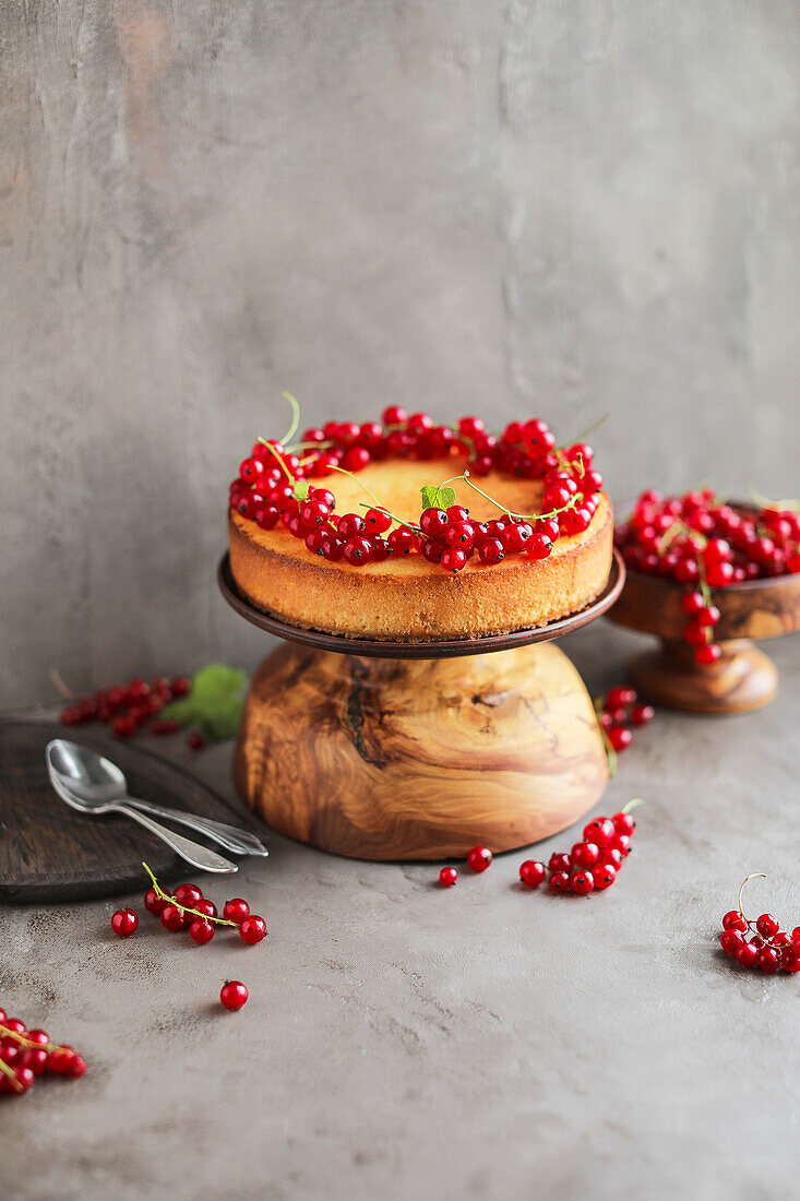 Käsekuchen mit Johannisbeeren