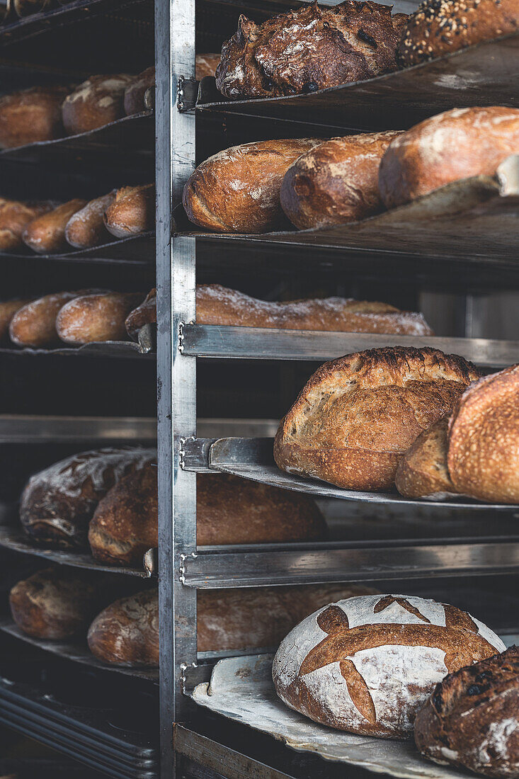 Verschiedene handgefertigte Sauerteigbrote in einer Bäckerei