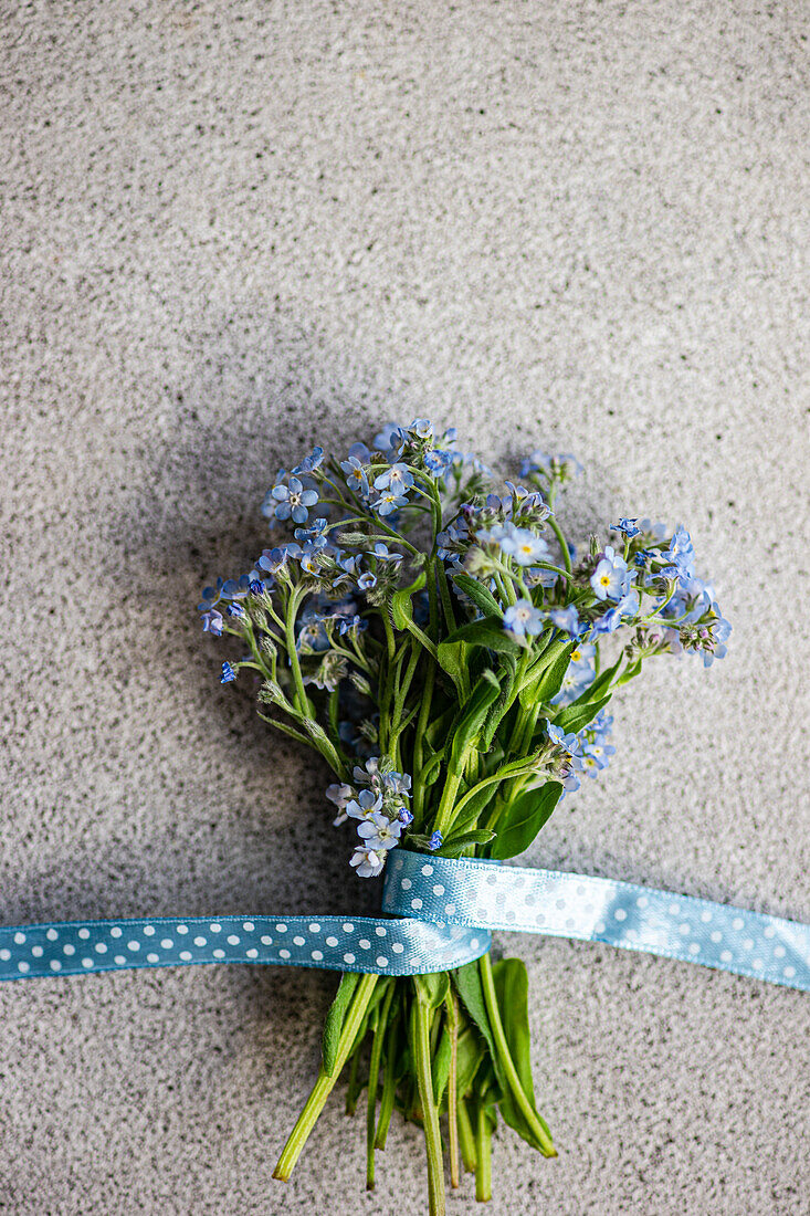 Vergissmeinnicht (Myosotis) - Blumenstrauß mit blau-gepunktetem Band