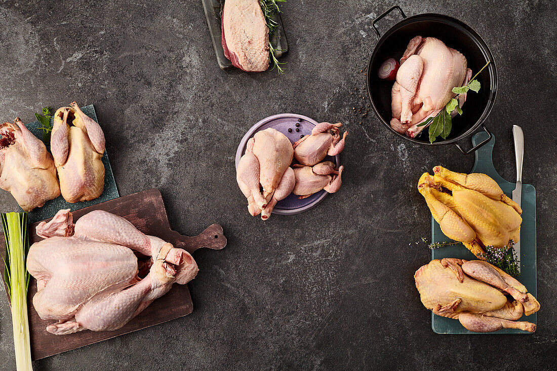 Pheasant, baby turkey, poussin, duck breast, poulard, quail, corn-fed poulard, guinea fowl