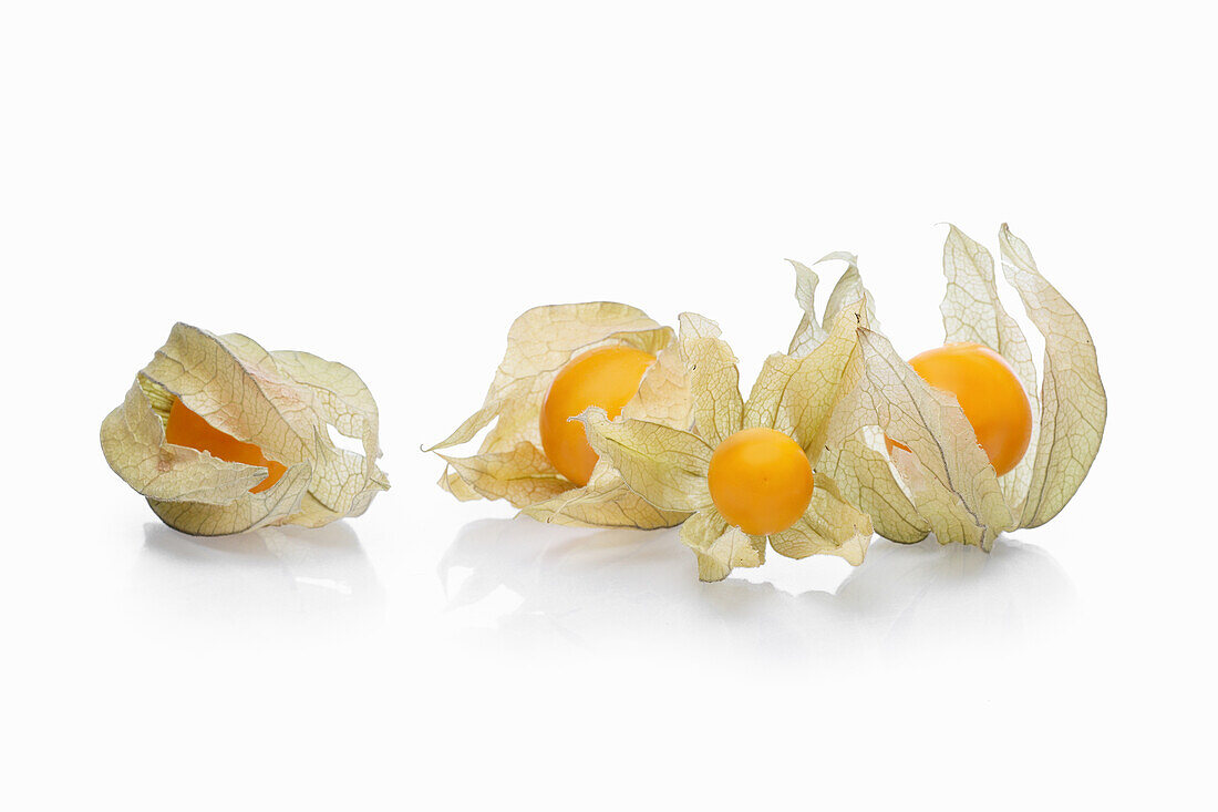 Physalis-Früchte vor weißem Hintergrund